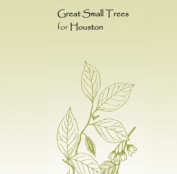 Small-Trees